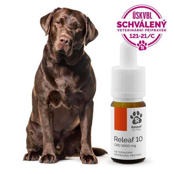 Releaf 10/10 ml CBD olaj kutyáknak