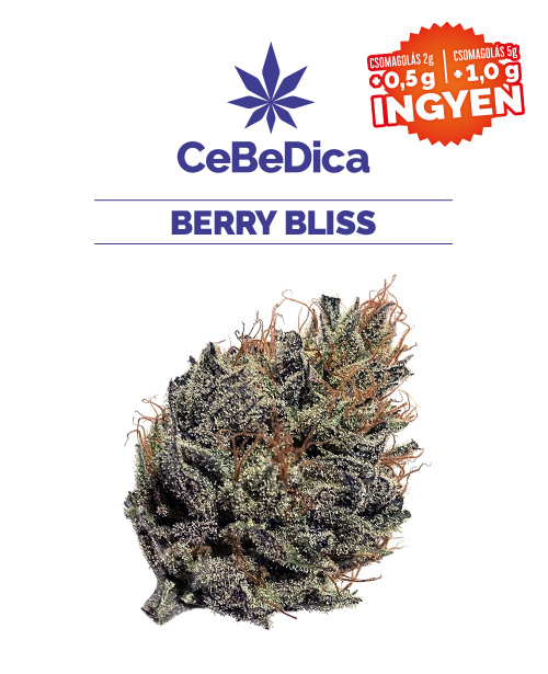 CBD virágok Berry Bliss 2g CeBeDica