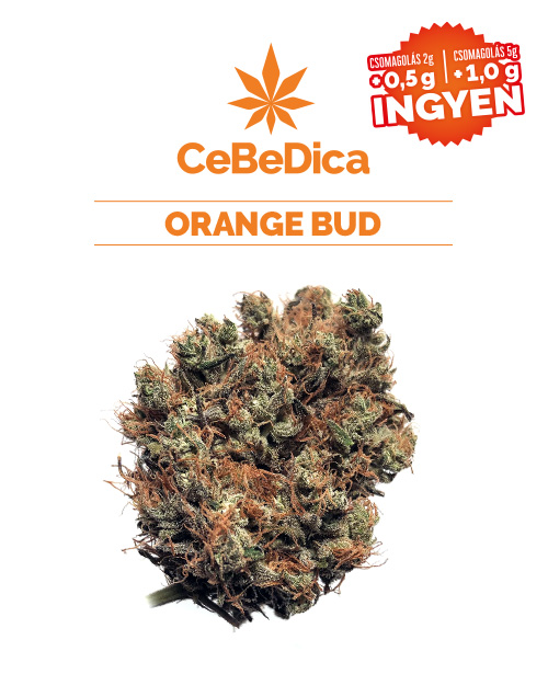 CBD virágok Orange Bud 2g CeBeDica