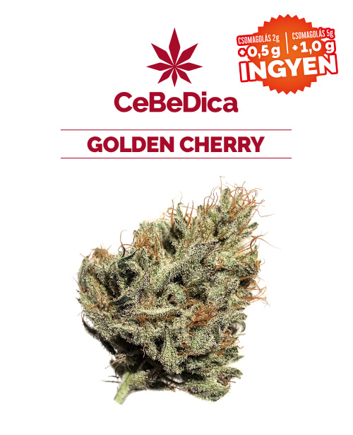 CBD virágok Golden Cherry 2g CeBeDica