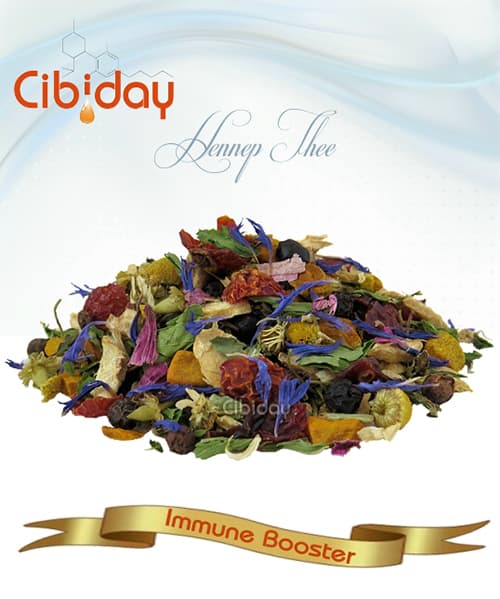 CBD kender tea Immunity Booster Cibiday