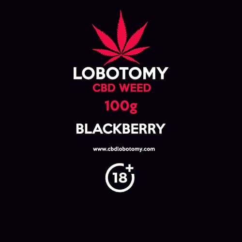 CBD virágok weed BLACKBERRY 100g LOBOTOMY
